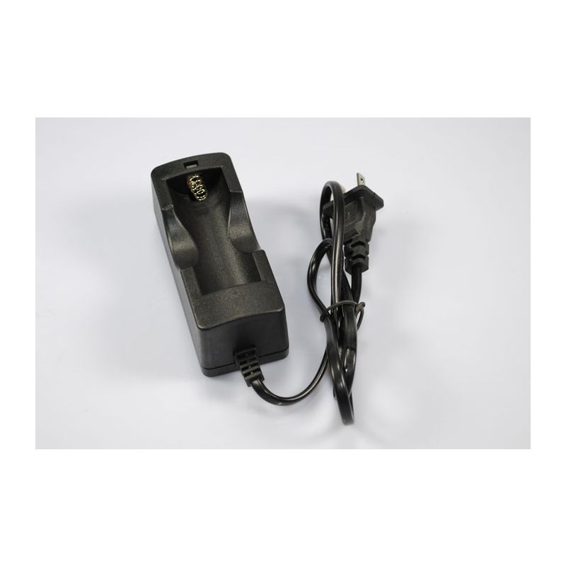 Caricabatterie UltraFire per Batteria Ricaricabile 26650 Litio Design Compatto Sicurezza Avanzata con Protezione Sovraccarico e Surriscaldamento Compatibile e Prezzo Accessibile per Viaggi