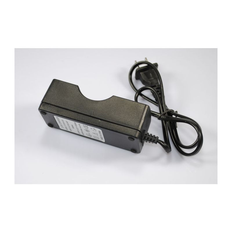 Caricabatterie UltraFire per Batteria Ricaricabile 26650 Litio Design Compatto Sicurezza Avanzata con Protezione Sovraccarico e Surriscaldamento Compatibile e Prezzo Accessibile per Viaggi