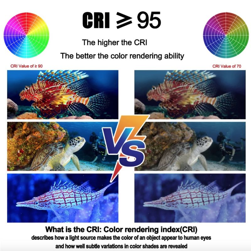 Torcia subacquea 10000 lumen per fotografia professionale impermeabile 100M accessori immersione ideale per esplorazione marina e luce per immersioni ricaricabile Type-C