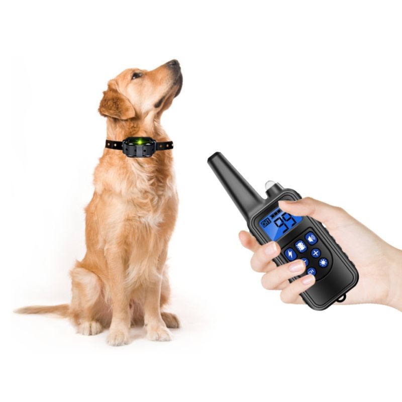 Scopri il Collare di Addestramento per Cani impermeabile IP7 con livelli regolabili e modalità vibrazione shock suono per un addestramento efficace e correzione comportamentale