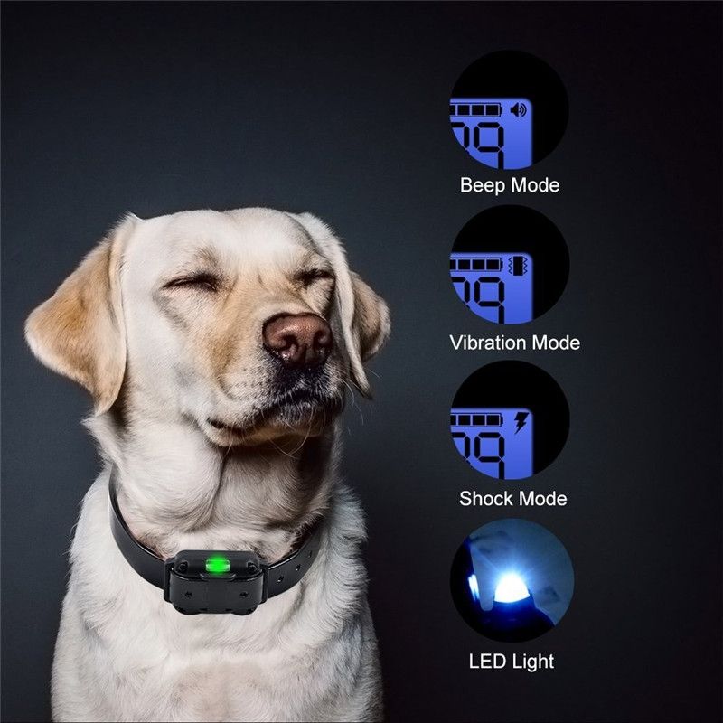 Collare di Addestramento per Cani Elettrico Impermeabile e Ricaricabile con Display LCD e Telecomando a 800m Modalità Shock Vibrazione Suono per Addestramento Efficace di Cani di Tutte le Dimensioni