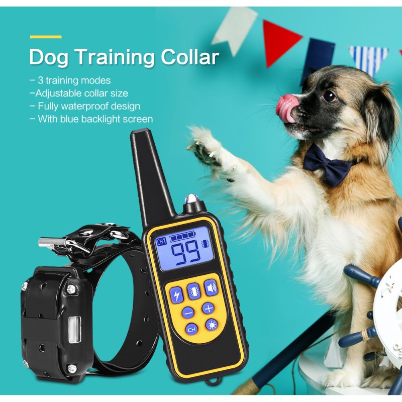 Collare Addestramento Cani Elettrico 800m Impermeabile con Display LCD e Livelli Vibrazione Regolabili per Addestramento Obbedienza all'Aperto di Cani di Tutte le Taglie