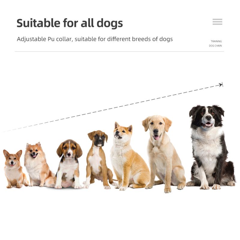 Scopri il Collare di Addestramento per Cani impermeabile IP7 con livelli regolabili e modalità vibrazione shock suono per un addestramento efficace e correzione comportamentale