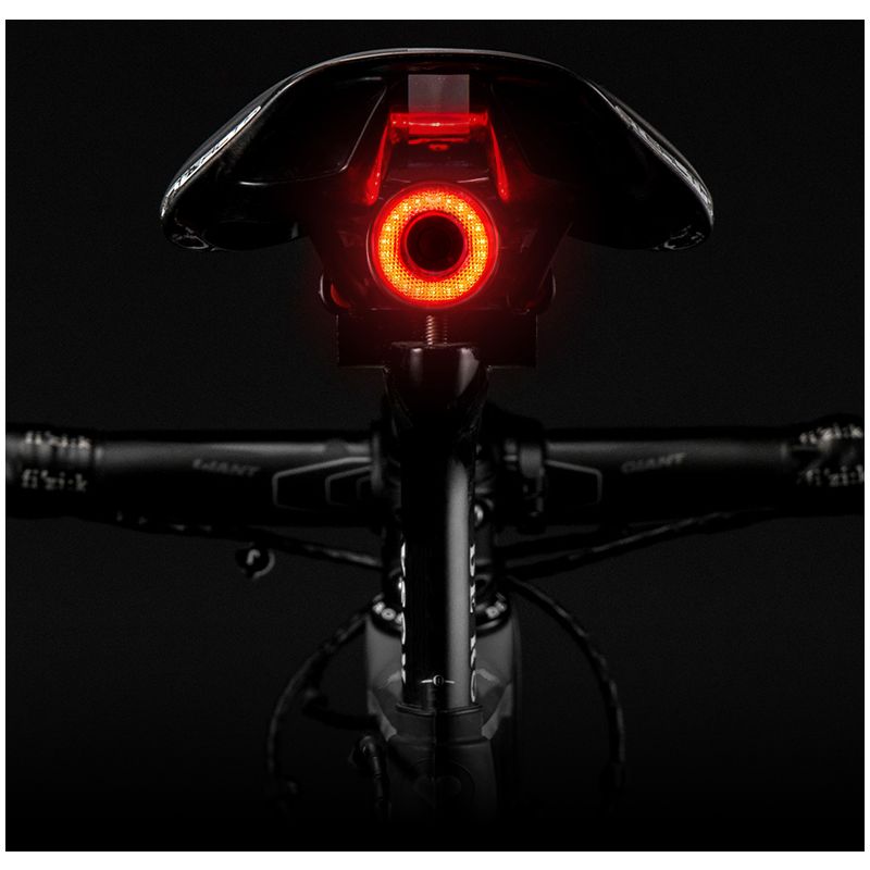 ROCKBROS Q5 Fanale Posteriore Bici Luce Frenata Automatica Impermeabile IPx6 Tecnologia Intelligente Sensore Smart Sicurezza in Bicicletta Visibilità per Ciclisti Ciclismo Urbano e All'aperto