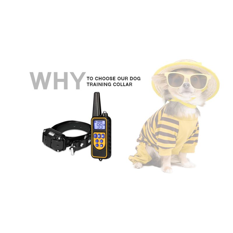 Collare Addestramento Cani Elettrico 800m Impermeabile con Display LCD e Livelli Vibrazione Regolabili per Addestramento Obbedienza all'Aperto di Cani di Tutte le Taglie