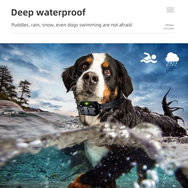 Scopri il Collare di Addestramento per Cani impermeabile IP7 con livelli regolabili e modalità vibrazione shock suono per un addestramento efficace e correzione comportamentale