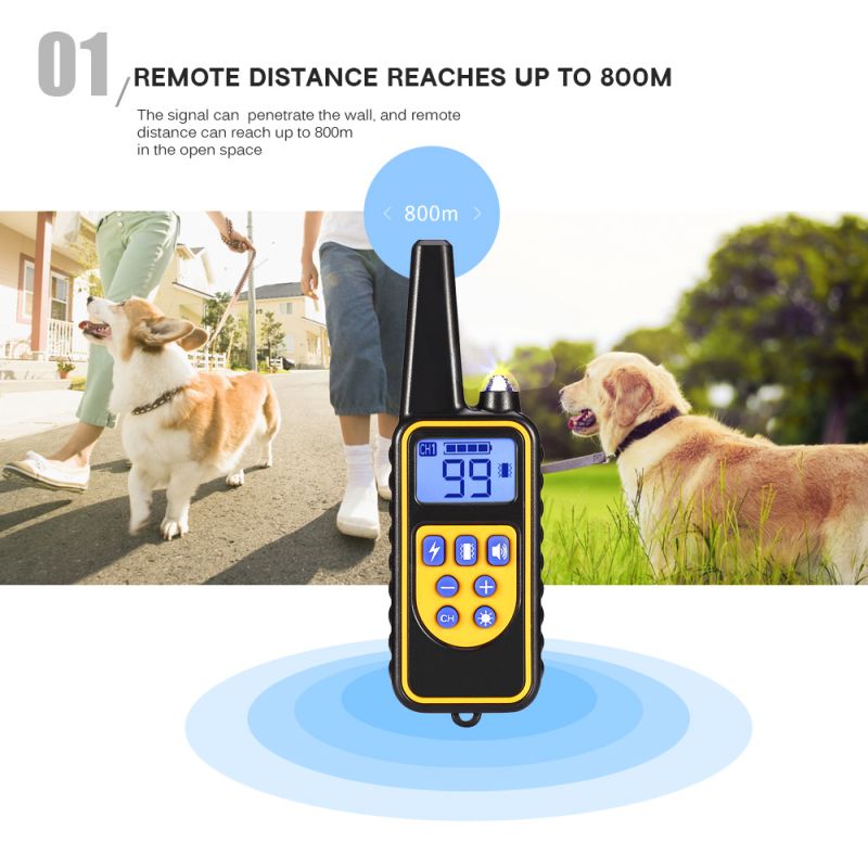 Collare Addestramento Cani Elettrico 800m Impermeabile con Display LCD e Livelli Vibrazione Regolabili per Addestramento Obbedienza all'Aperto di Cani di Tutte le Taglie