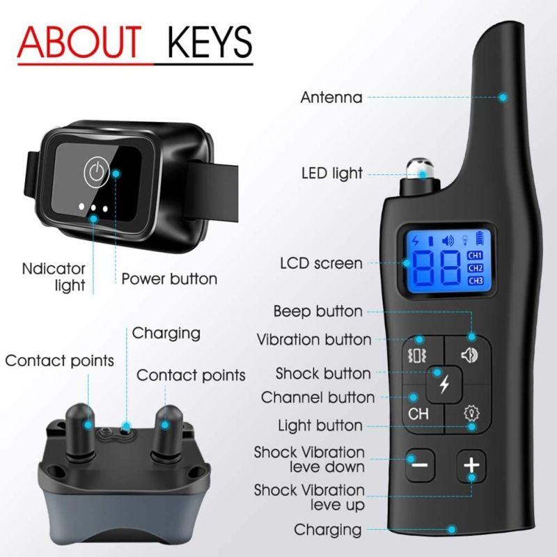 Collare Elettrico Addestramento Cani 800m Sicuro con Modalità Allenamento Regolabili per Cani Piccoli e Medi Controllo Remoto Vibrazione Shock Suono per Correzione Comportamento