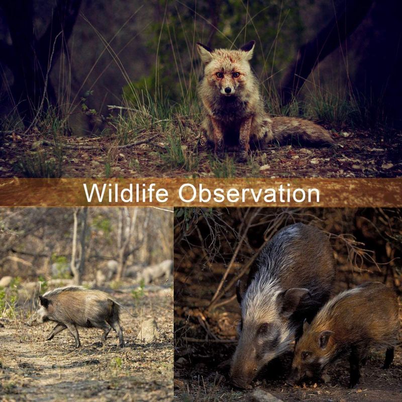 Torcia IR UltraFire 940nm Luce Invisibile per Caccia e Fauna Selvatica con Messa a Fuoco e Intensità Regolabile Ideale per Esplorazione Notturna e Illuminazione Discreta