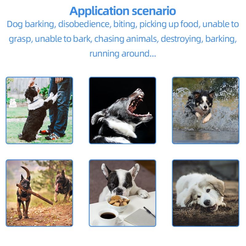 Collare Elettronico per Cani 2021 con Telecomando 500m e Collare Impermeabile Ideale per Addestramento Obbedienza Cani Supporto Multi-Cane Ricarica USB Facile e Veloce