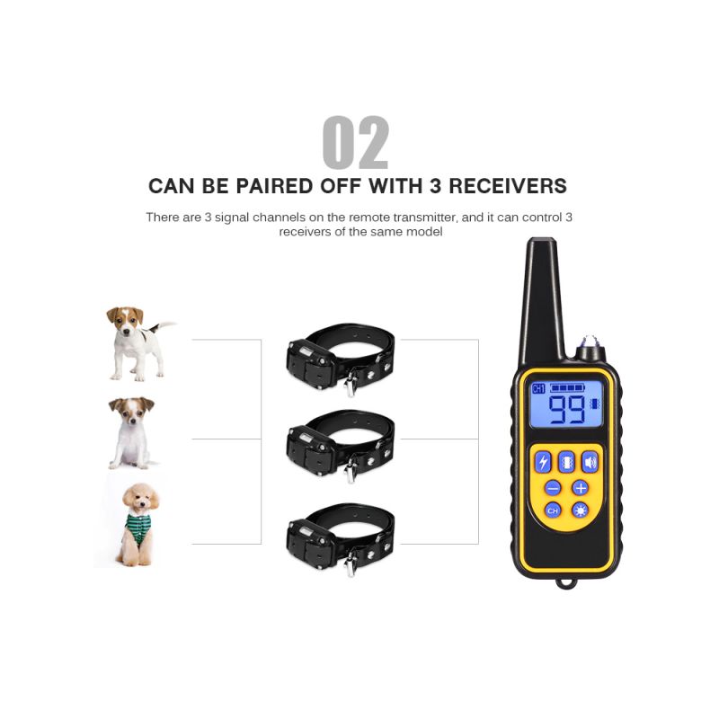Collare Addestramento Cani Elettrico 800m Impermeabile con Display LCD e Livelli Vibrazione Regolabili per Addestramento Obbedienza all'Aperto di Cani di Tutte le Taglie