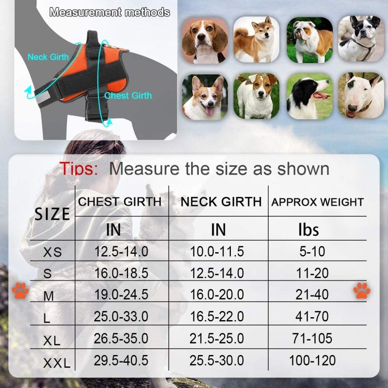 Pettorina regolabile per cani medi gilet traspirante e riflettente per passeggiate confortevoli attrezzatura per cani all'aperto controllo e sicurezza per Bulldog e altre razze medie