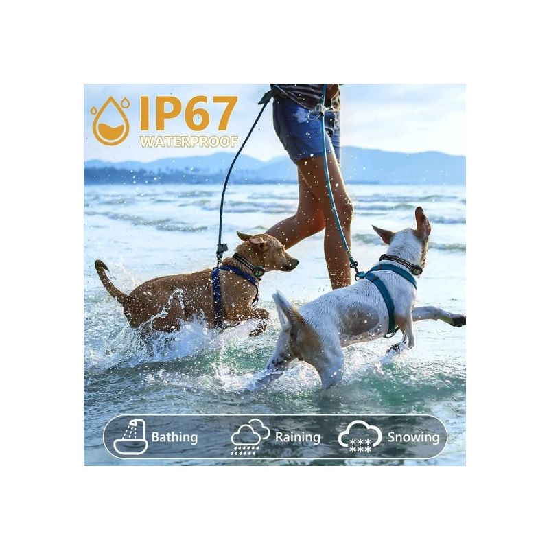 Collare cane ricaricabile con riconoscimento abbaio intelligente addestramento cane confortevole controllo abbaio cane efficace algoritmo avanzato abbaio ambiente silenzioso per cani