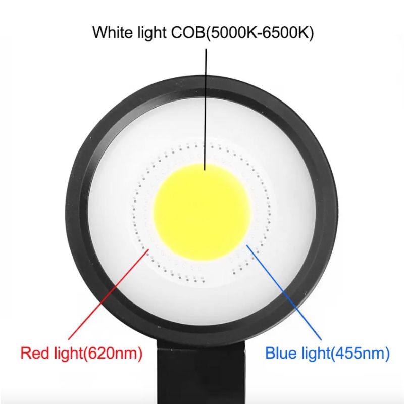 Torcia Subacquea D10 Super Luminosa fino a 100m con Luce COB a 3 Colori IPX8 Lente in Vetro Alta Penetrazione per Fotografia Subacquea ed Esplorazione Marina