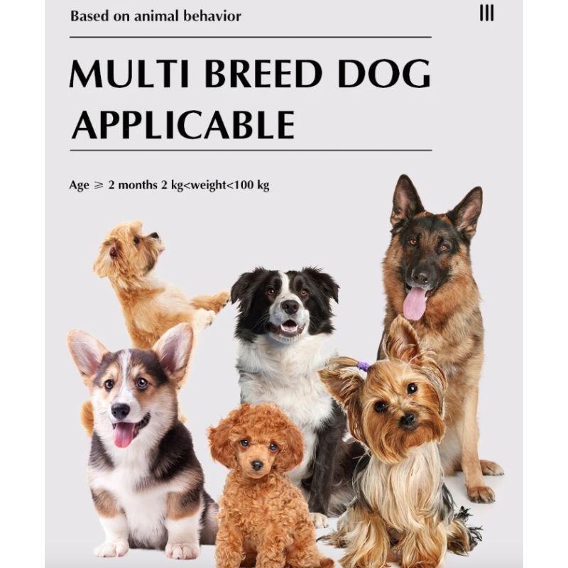 Sistema 2-in-1 Recinzione Elettronica Wireless e Collare di Addestramento Remoto Sicurezza Esterna per Animali Contenimento e Addestramento Cani di Tutte le Dimensioni Prodotti Innovativi per Animali