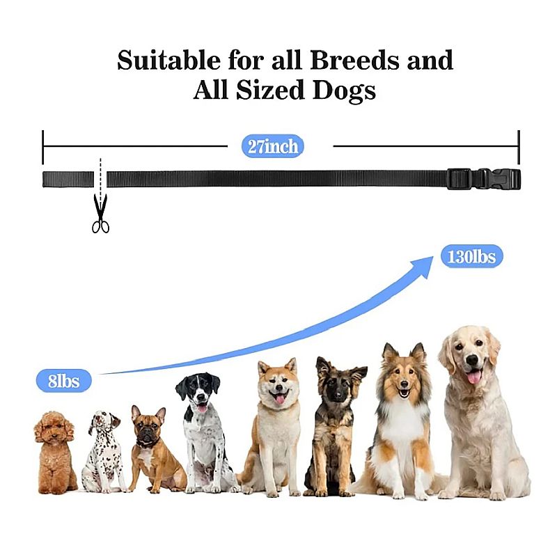 Collare di addestramento per cani PD 529-1-TIO elettrico fino a 1000m modalità regolabili impermeabile ricaricabile accessorio per animali domestici strumento di addestramento sicuro