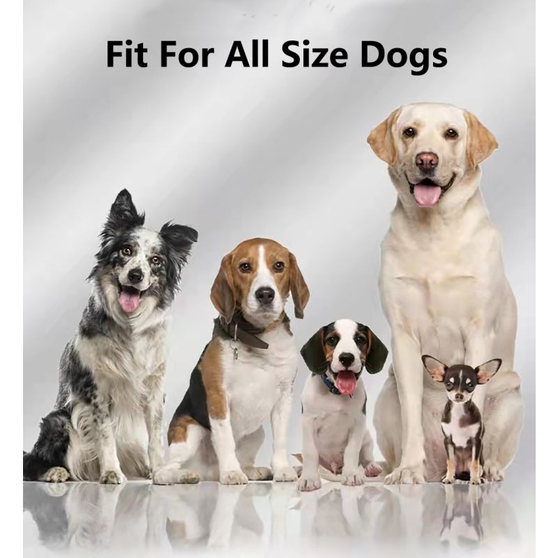 GPS Wireless Dog Fence Dispositivo di Recinzione Elettronico 1000 Metri Sistema di Recinzione Senza Fili Sicurezza e Libertà per Cani Installazione Facile Collare Impermeabile