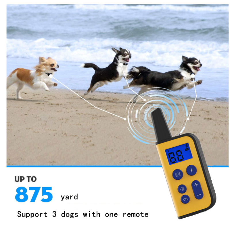 Collare Elettrico per Cani 2020 Raggio 1000m Telecomando per Animali Impermeabile Ricaricabile Display LCD Addestramento Personalizzato Modalità Bip Vibrazione Shock Statico Cani Tutte le Dimensioni