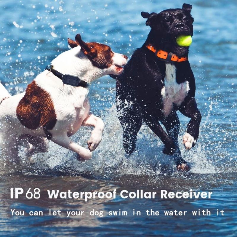 Collare Elettrico per Cani 2020 Raggio 1000m Telecomando per Animali Impermeabile Ricaricabile Display LCD Addestramento Personalizzato Modalità Bip Vibrazione Shock Statico Cani Tutte le Dimensioni