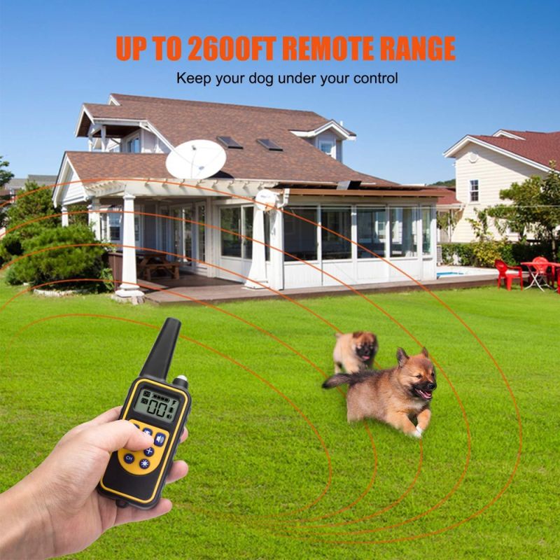 Collare Elettronico per Cani 800 Metri Telecomando Colletto Impermeabile Addestramento con Modalità Shock Vibrazione Beep Livelli Regolabili Accessorio Cane Tutte le Taglie Uso Esterno