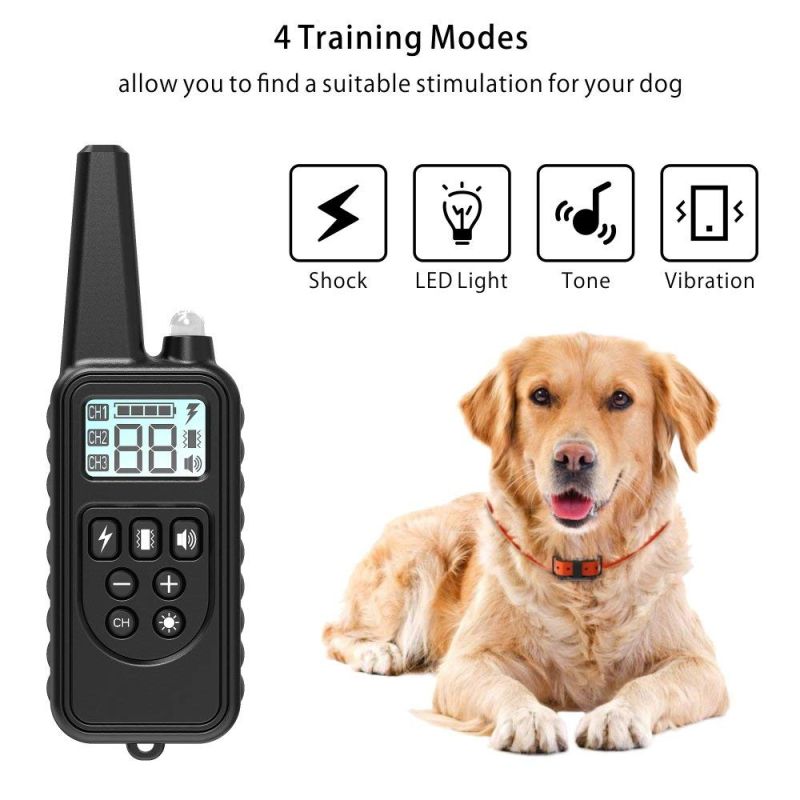 Collare Addestramento Cani Elettrico 800m con Telecomando per Animali Domestici Impermeabile Livelli Regolabili e LCD Addestramento Open Air di Tutte le Taglie 3 Modalità Disponibili