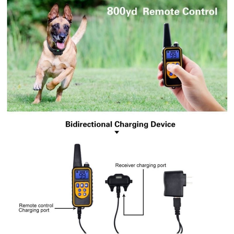 Collare Elettronico per Cani 800 Metri Telecomando Colletto Impermeabile Addestramento con Modalità Shock Vibrazione Beep Livelli Regolabili Accessorio Cane Tutte le Taglie Uso Esterno