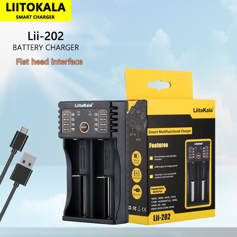 LiitoKala Lii-202 caricabatterie intelligente per batterie 3.7V Li-ion 18650 21700 NiMH con doppio canale di ricarica ingresso Micro USB uscita USB per ricarica efficiente e sicura