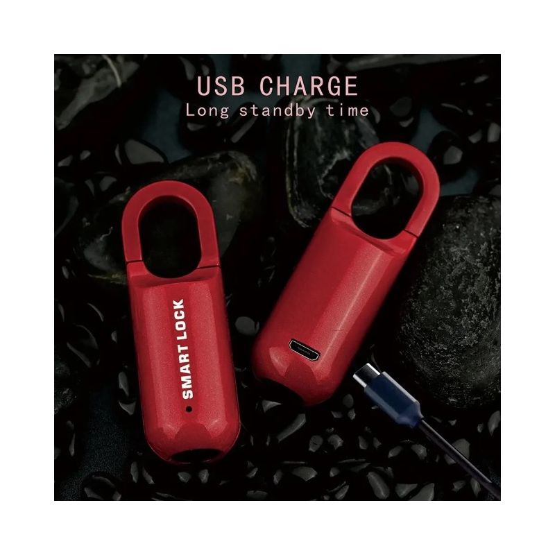 Mini Lucchetto Impronte Digitali Serratura Senza Chiave per Sicurezza Viaggio Design Leggero e Durevole Tecnologia Innovativa Sblocco Rapido in Lega di Zinco Batteria Ricaricabile