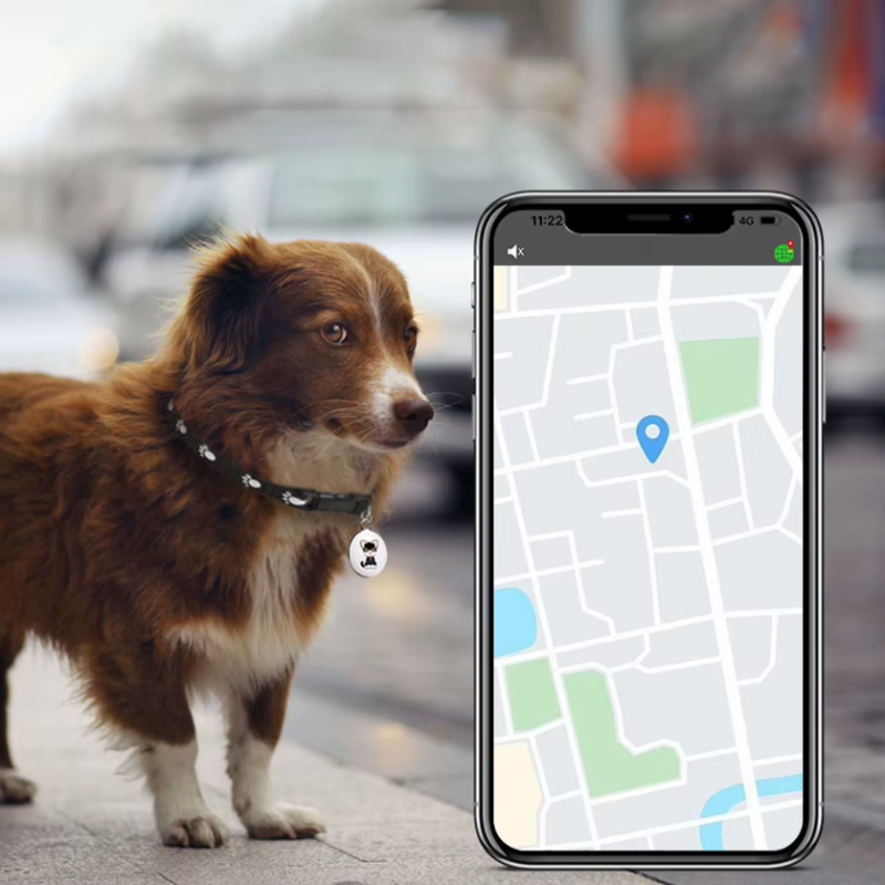 Localizzatore per cani Collare per cani Airtag GPS per cani con localizzazione in tempo reale Tecnologia innovativa per animali domestici Sicurezza per cani essenziale per ogni esplorazione canina