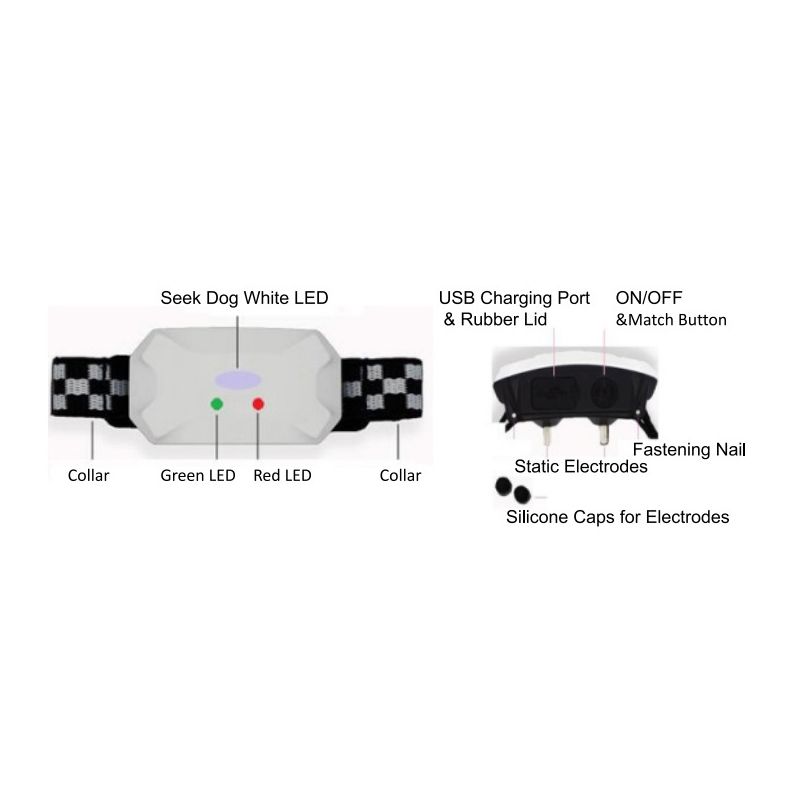 Collare Addestramento Cani Nuovo 2021 Modalità Bip Vibrazione Shock Collare Remoto Ricaricabile Addestramento Sicuro Efficace Per Tutte Le Razze Essenziale Per Proprietari Di Cani