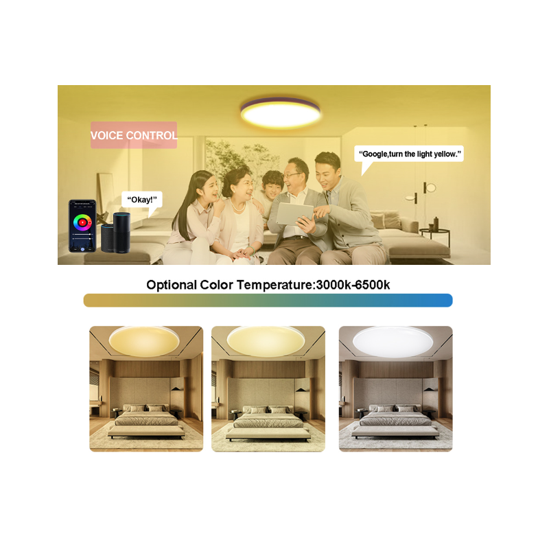 24W Tuya Zigbee Plafoniera Smart Wifi Lampada da soffitto a Led per Soggiorno Controllo Vocale Alexa Illuminazione Versatile ed Efficiente Decorazione della Casa Moderna