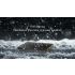 Scopri Nitecore NB10000 Gen III power bank ultra sottile e leggero 10000mAh con doppie porte USB-C per ricarica rapida perfetto per uno stile di vita mobile e avventure outdoor