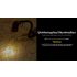 NITECORE TINI3 Luce Portachiavi 600 Lumen Mini Torcia EDC Compatta Ricaricabile Design Ultra-Compatto Temperature di Colore Multiple Torcia d'Emergenza Outdoor Batteria Integrata