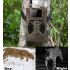 Fotocamera da caccia HC-300M 12MP visione notturna 1080p con rilevamento del movimento monitoraggio della fauna e osservazione natura archiviazione versatile su scheda TF capacità video