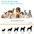 Miglior collare di addestramento 2025 collare elettrico per cani con controllo remoto 800m 3 modalità impermeabile IP67 batterie ricaricabili per addestramento cani piccoli e medi