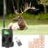 Fotocamera da caccia HC-300M 12MP visione notturna 1080p con rilevamento del movimento monitoraggio della fauna e osservazione natura archiviazione versatile su scheda TF capacità video