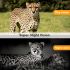Telecamera da Caccia Mobile HC801M 20MP 1080P Visione Notturna Trail Wildlife Camera 2G MMS SMS Perfecta per Osservazione della Natura Infrarosso Game Camera 42 LED