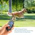Miglior collare di addestramento 2025 collare elettrico per cani con controllo remoto 800m 3 modalità impermeabile IP67 batterie ricaricabili per addestramento cani piccoli e medi