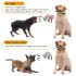 Collare Antiabbaio Ultrasonico Dispositivo Antiabbaio Intelligente Impermeabile e Ricaricabile USB per Addestramento Cani Umanizzato Strumento Leggero e Ecologico