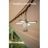 Klarus CL2 750 lumen lampada versatile per campeggio e casa luce d'ambiente con 7 modalità cura degli occhi lampadine a 90 gradi angolo regolabile illuminazione interna ed esterna