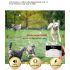 Sistema 2-in-1 Recinzione Elettronica Wireless e Collare di Addestramento Remoto Sicurezza Esterna per Animali Contenimento e Addestramento Cani di Tutte le Dimensioni Prodotti Innovativi per Animali