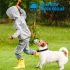 Collare di addestramento per cani Petrainer 998D con display LCD e raggio d'azione 300M collare ricaricabile impermeabile per controllo a lunga distanza e addestramento canino efficace