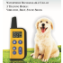 Collare Elettrico per Cani 2020 Raggio 1000m Telecomando per Animali Impermeabile Ricaricabile Display LCD Addestramento Personalizzato Modalità Bip Vibrazione Shock Statico Cani Tutte le Dimensioni