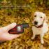 Collare cane ricaricabile con vibrazione e livelli shock regolabili allenatore obbedienza ricevitore impermeabile sicurezza cani all'aperto correzione comportamento cane