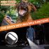 Bark Guard Anti Abbaio Ultrasuoni per Cani con Display HD Torcia LED - Addestramento & Controllo Comportamento