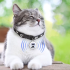 Localizzatore per cani Collare per cani Airtag GPS per cani con localizzazione in tempo reale Tecnologia innovativa per animali domestici Sicurezza per cani essenziale per ogni esplorazione canina