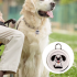 Localizzatore per cani Collare per cani Airtag GPS per cani con localizzazione in tempo reale Tecnologia innovativa per animali domestici Sicurezza per cani essenziale per ogni esplorazione canina