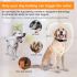 Collare Antiabbaio Automatico per Cani Impermeabile IP67 con Modalità Beep e Vibrazione Collare Ricaricabile per Addestramento Comportamentale Positivo Soluzione Efficace per Cani