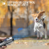 Repellente Ultrasuoni per Cani con Torcia LED Integrata Dispositivo Antiabbaio per Controllo Abbaio Addestramento Cani Umano Modifica Comportamento Sicura Tecnologia Ultrasonica