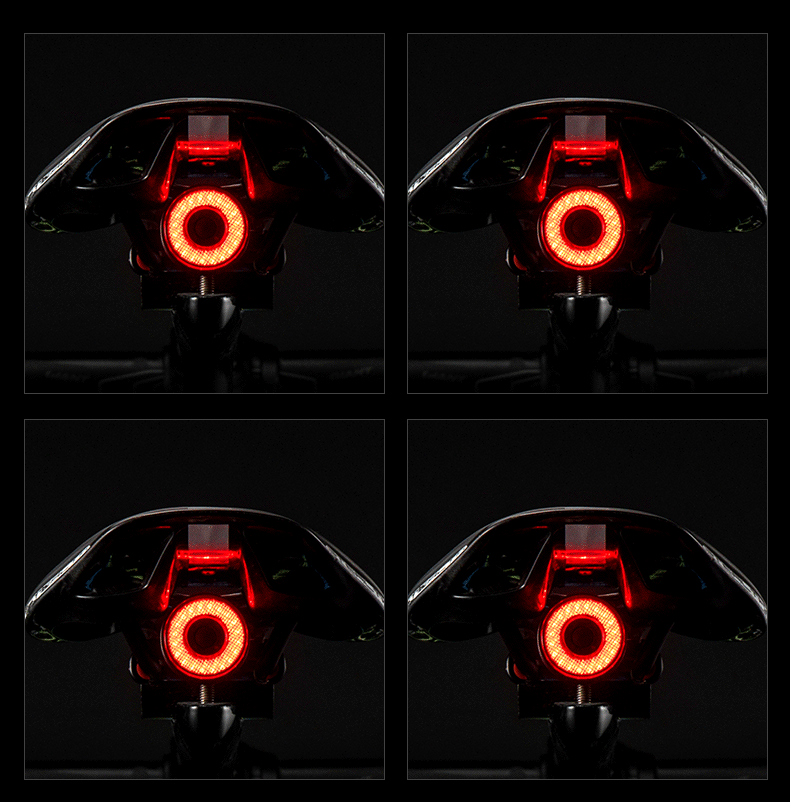 ROCKBROS Q5 Luce intelligente per bicicletta con rilevamento automatico della frenata, fanale posteriore LED impermeabile IPX6, attrezzatura di sicurezza per ciclismo